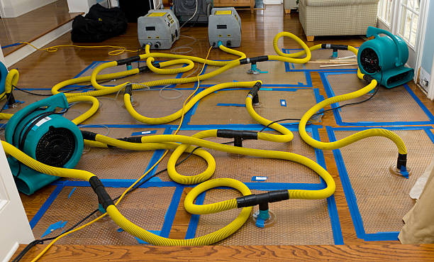 Professional Basement Flood Cleanup technician working in Moorland, IA