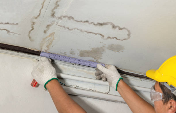 Affordable Water Damage Repair solutions in Moorland, IA